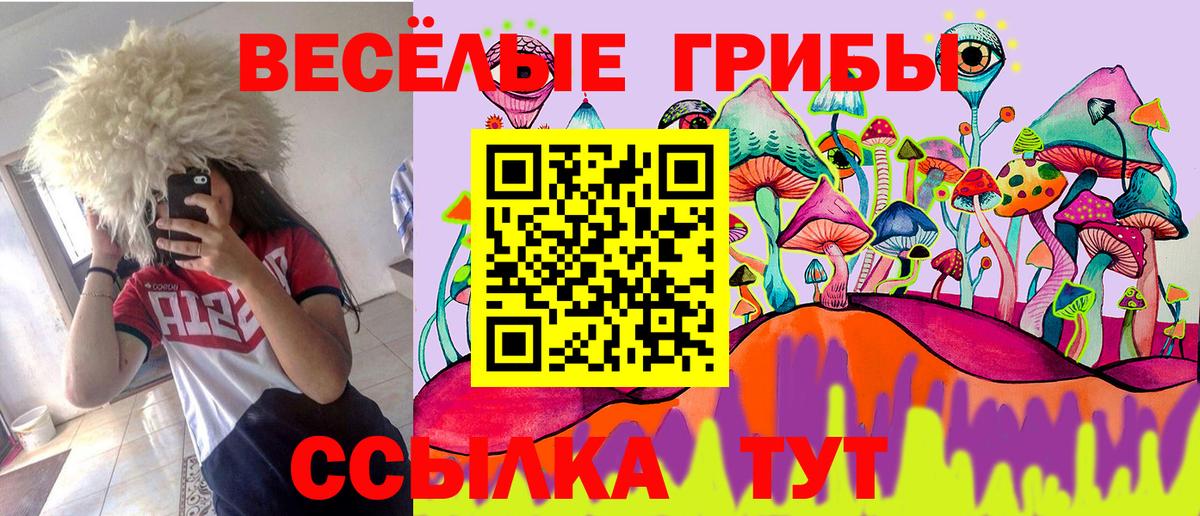 Псилоцибиновые грибы мицелий Дубна
