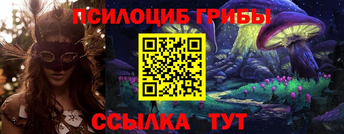 где продают наркотики  Вход с VPN  Дубна  Псилоцибиновые грибы GOLDEN TEACHER 